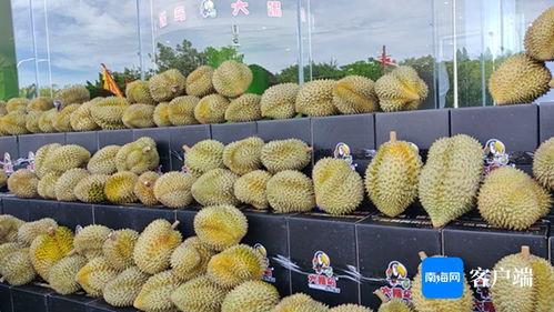 榴莲国产推荐视频在线,视频揭秘美味与种植奥秘