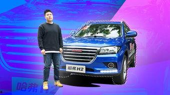 进口国产h2视频播放,国产与进口H2视频播放对比解析